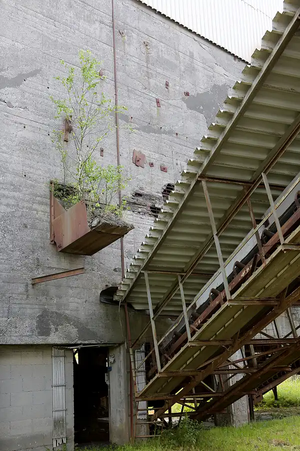 029 | 2019 | Enspel | Stöffel-Park | © carsten riede fotografie