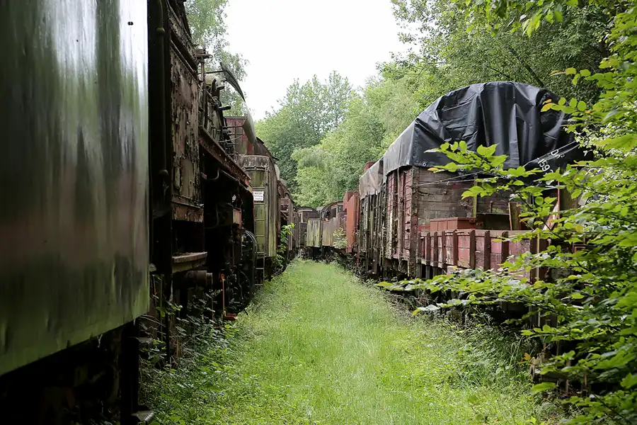 014 | 2019 | Hermeskeil | Dampflok-Museum | © carsten riede fotografie