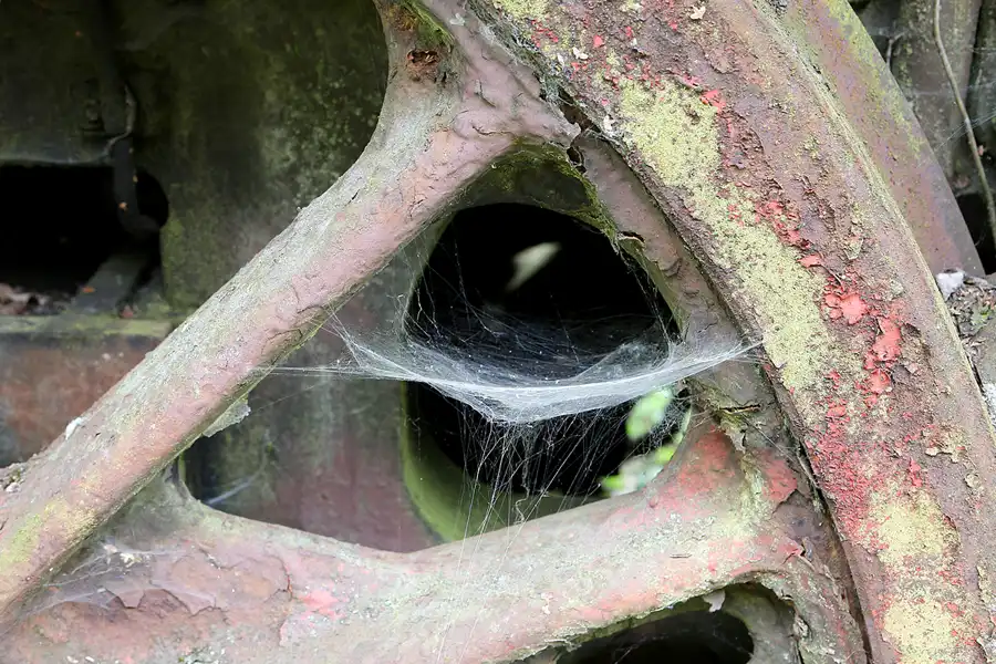 019 | 2019 | Hermeskeil | Dampflok-Museum | © carsten riede fotografie