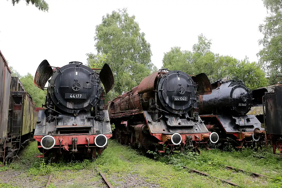 024 | 2019 | Hermeskeil | Dampflok-Museum | © carsten riede fotografie