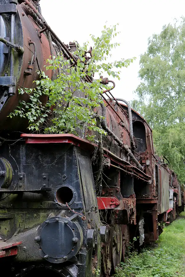 031 | 2019 | Hermeskeil | Dampflok-Museum | © carsten riede fotografie