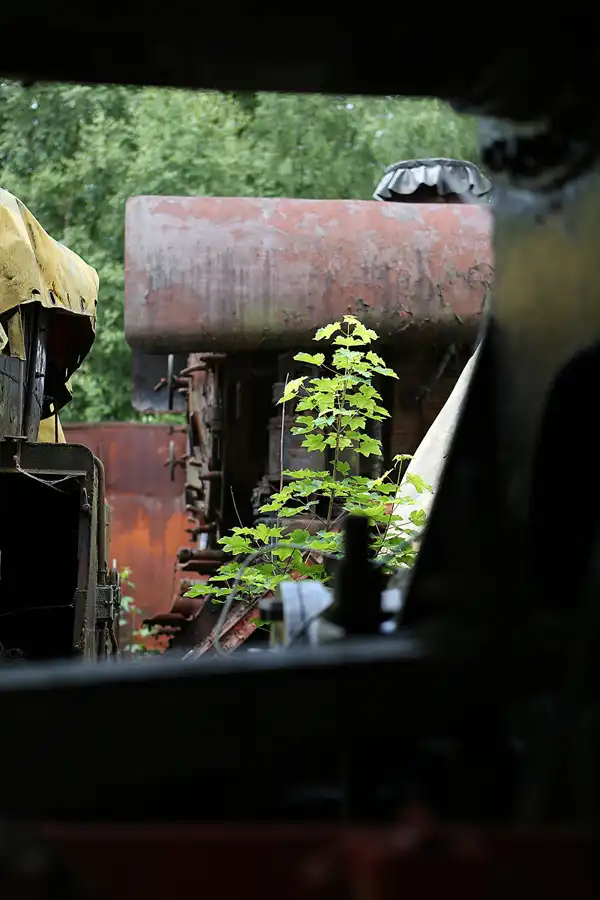 086 | 2019 | Hermeskeil | Dampflok-Museum | © carsten riede fotografie