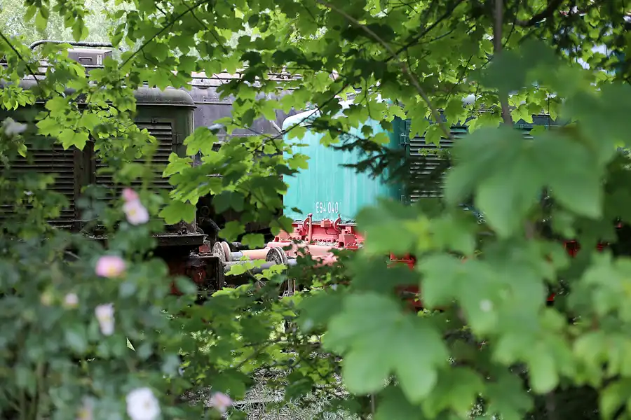 151 | 2019 | Hermeskeil | Dampflok-Museum | © carsten riede fotografie