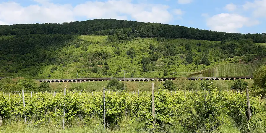 154 | 2019 | Pünderich | Pündericher Hangviadukt | © carsten riede fotografie