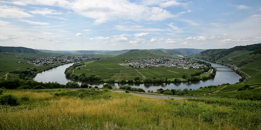 187 | 2019 | Trittenheim | © carsten riede fotografie