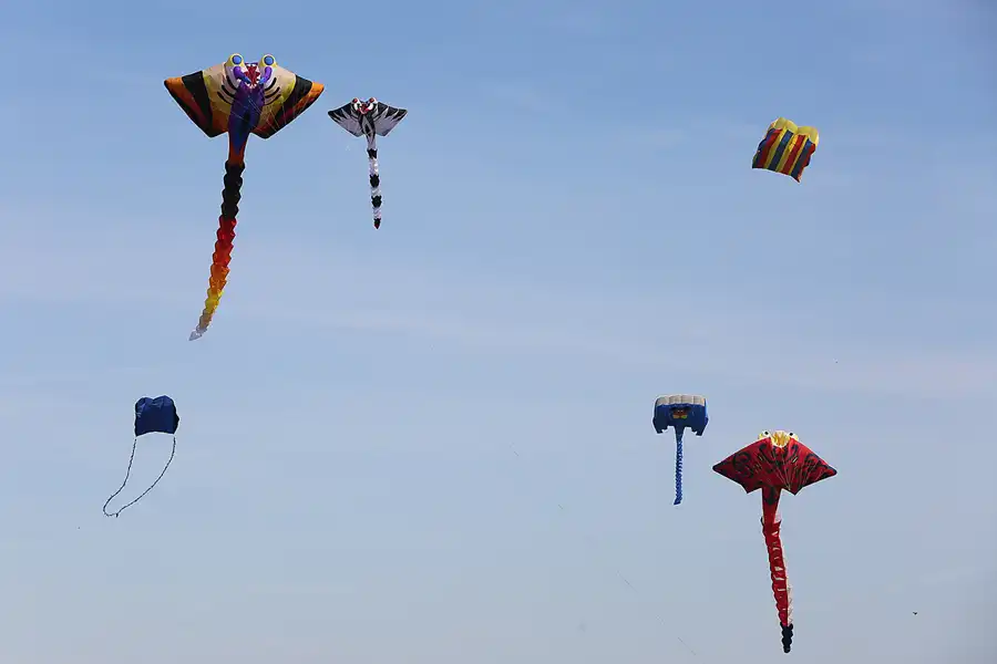 002 | 2019 | Berlin | Festival der Riesendrachen | © carsten riede fotografie