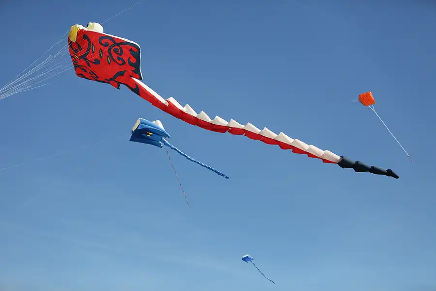 004 | 2019 | Berlin | Festival der Riesendrachen | © carsten riede fotografie