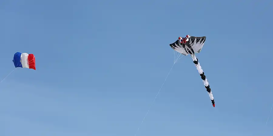 005 | 2019 | Berlin | Festival der Riesendrachen | © carsten riede fotografie