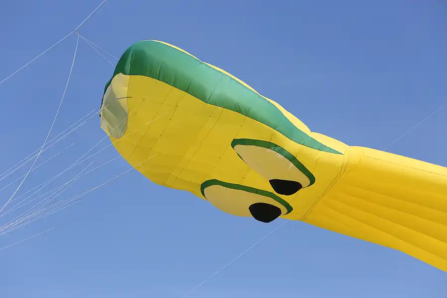 023 | 2019 | Berlin | Festival der Riesendrachen | © carsten riede fotografie