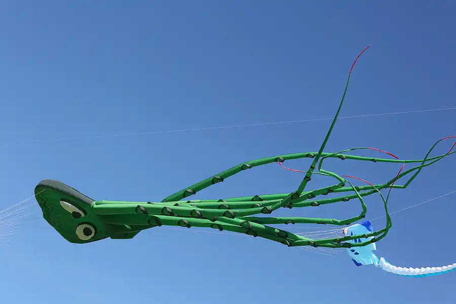 026 | 2019 | Berlin | Festival der Riesendrachen | © carsten riede fotografie