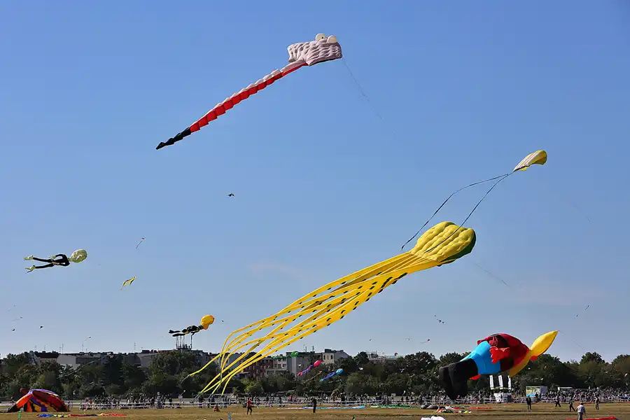 027 | 2019 | Berlin | Festival der Riesendrachen | © carsten riede fotografie