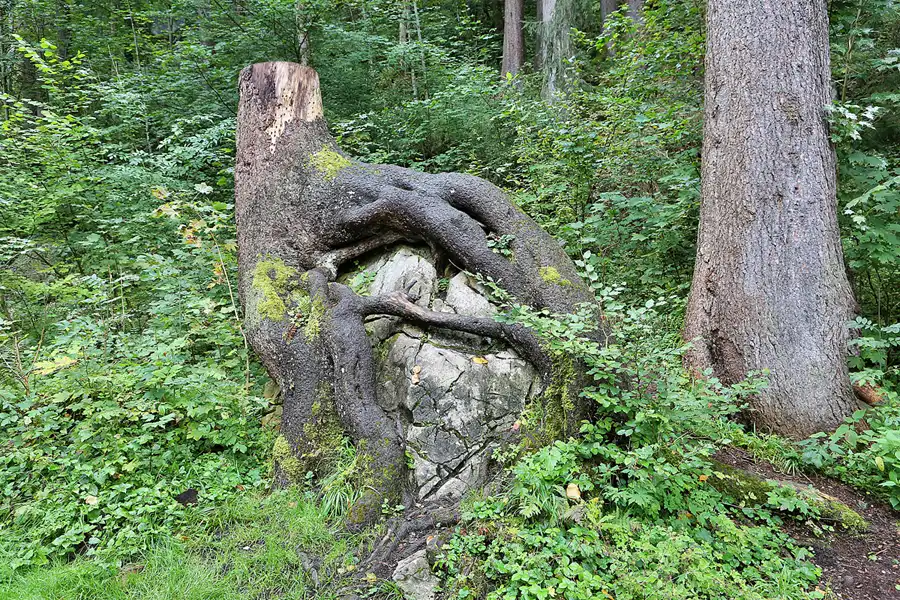 056 | 2019 | Schwangau | © carsten riede fotografie