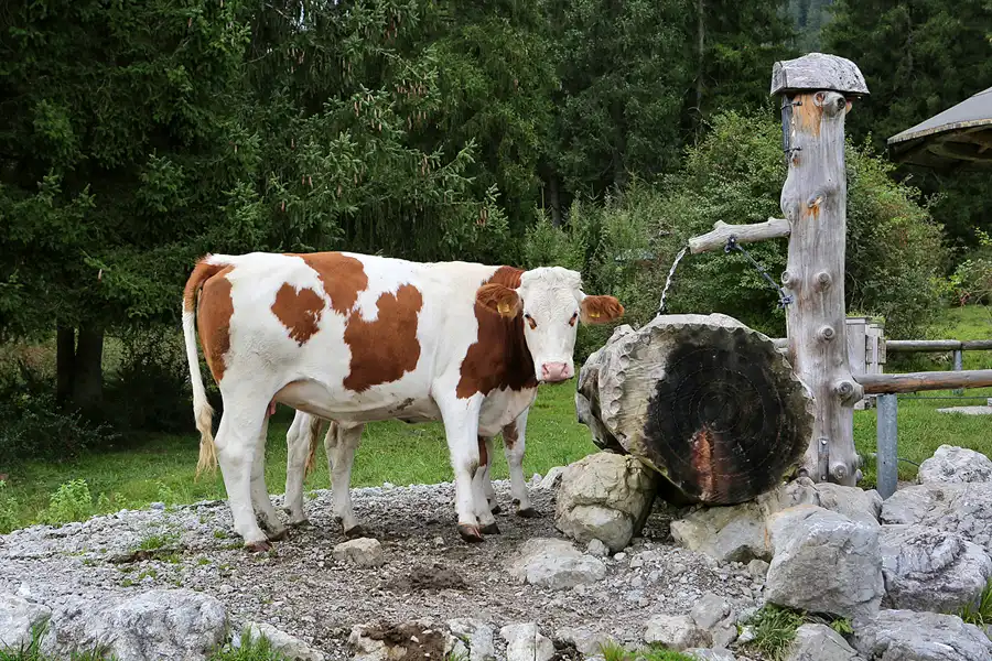 088 | 2019 | Farchant | © carsten riede fotografie