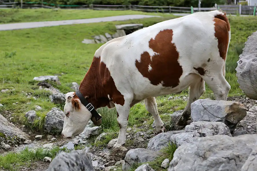 089 | 2019 | Farchant | © carsten riede fotografie