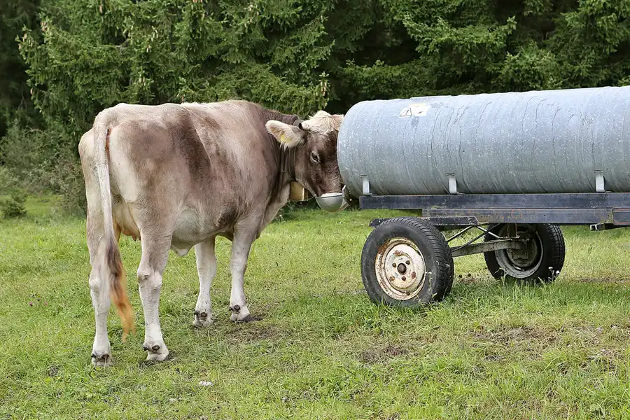 090 | 2019 | Farchant | © carsten riede fotografie