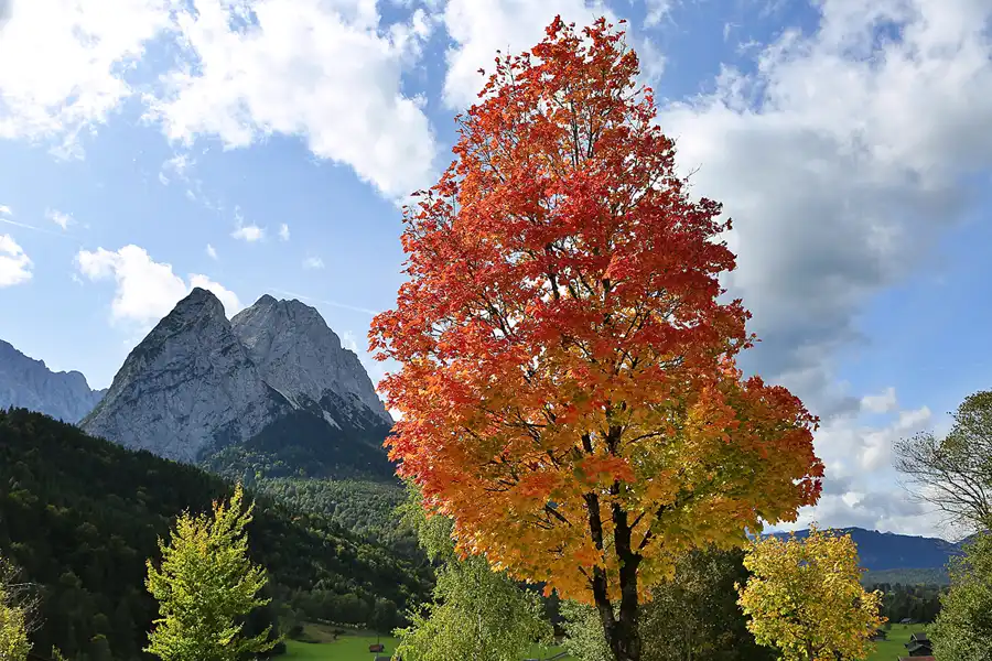 134 | 2019 | Garmisch-Partenkirchen | © carsten riede fotografie