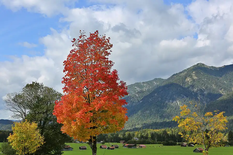 135 | 2019 | Garmisch-Partenkirchen | © carsten riede fotografie