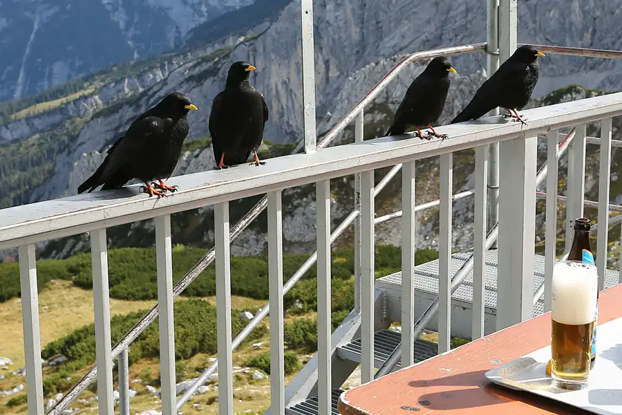 140 | 2019 | AlpspiX | © carsten riede fotografie