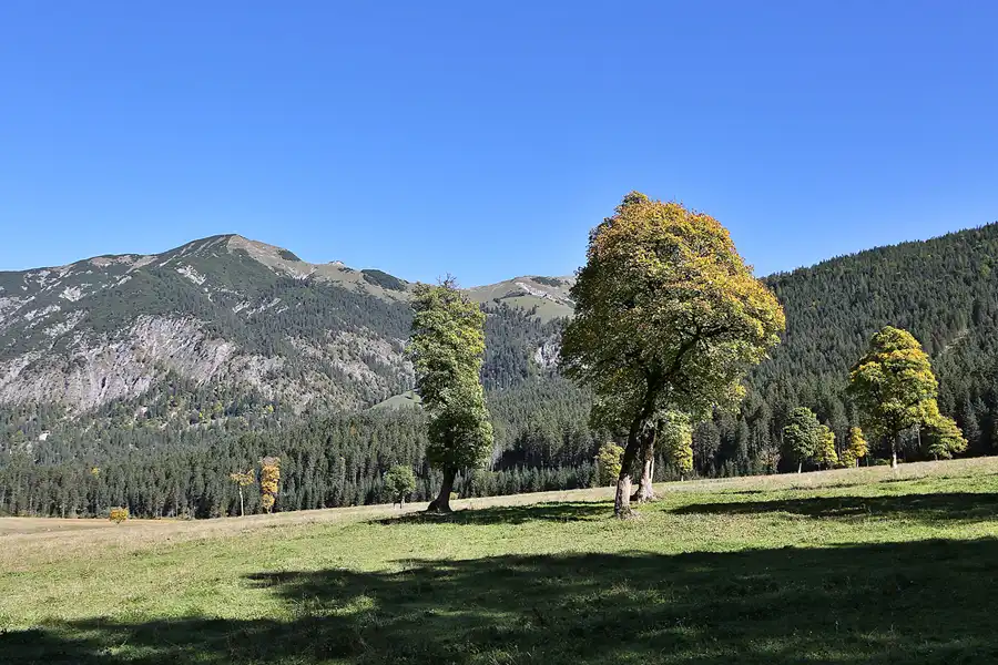 162 | 2019 | Naturpark Karwendel | Der grosse Ahornboden | © carsten riede fotografie