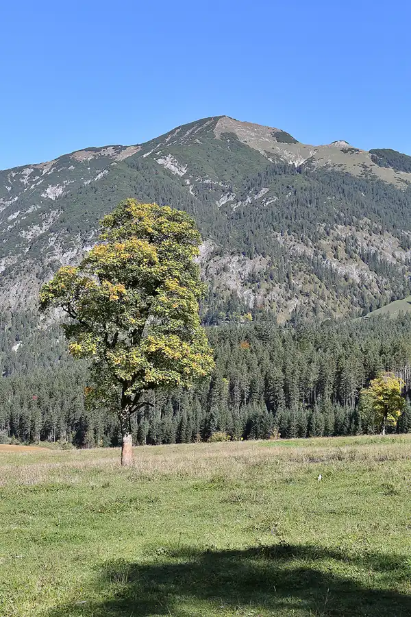 163 | 2019 | Naturpark Karwendel | Der grosse Ahornboden | © carsten riede fotografie