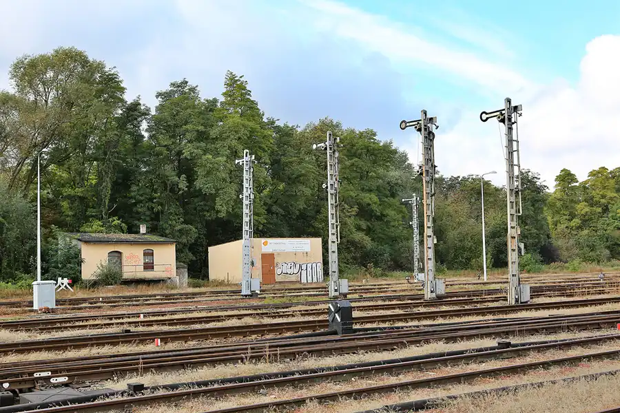 117 | 2019 | Wolsztyn | Parowozownia Wolsztyn | © carsten riede fotografie