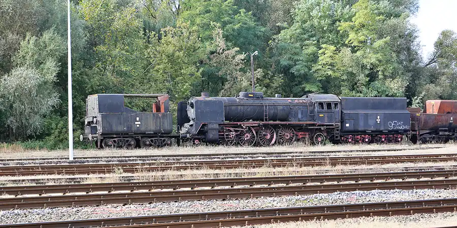 120 | 2019 | Wolsztyn | Parowozownia Wolsztyn | © carsten riede fotografie