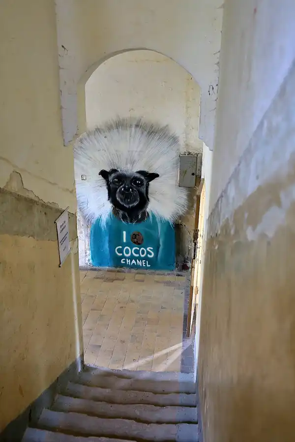 030 | 2019 | Strelitz-Alt | Mecklenburg-Strelitzsche Landesirrenanstalt Domjüch – artbase 2019 | © carsten riede fotografie