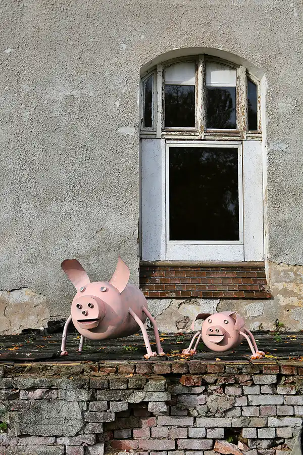 042 | 2019 | Strelitz-Alt | Mecklenburg-Strelitzsche Landesirrenanstalt Domjüch – artbase 2019 | © carsten riede fotografie