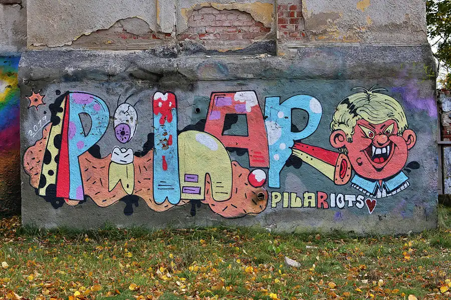 049 | 2019 | Strelitz-Alt | Mecklenburg-Strelitzsche Landesirrenanstalt Domjüch – artbase 2019 | © carsten riede fotografie