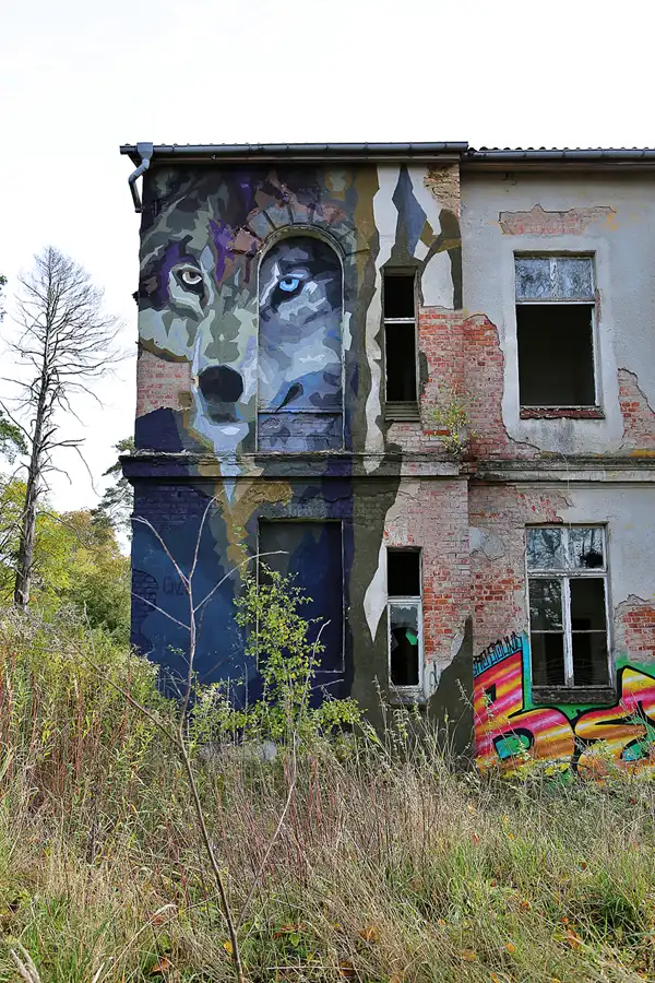 058 | 2019 | Strelitz-Alt | Mecklenburg-Strelitzsche Landesirrenanstalt Domjüch – artbase 2019 | © carsten riede fotografie