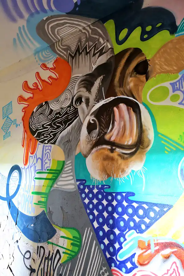 111 | 2019 | Strelitz-Alt | Mecklenburg-Strelitzsche Landesirrenanstalt Domjüch – artbase 2019 | © carsten riede fotografie