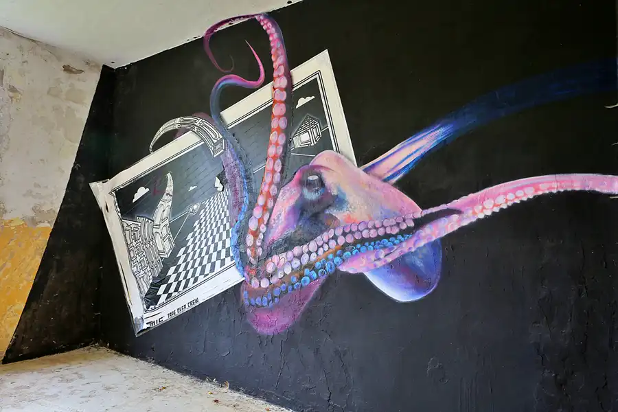 117 | 2019 | Strelitz-Alt | Mecklenburg-Strelitzsche Landesirrenanstalt Domjüch – artbase 2019 | © carsten riede fotografie