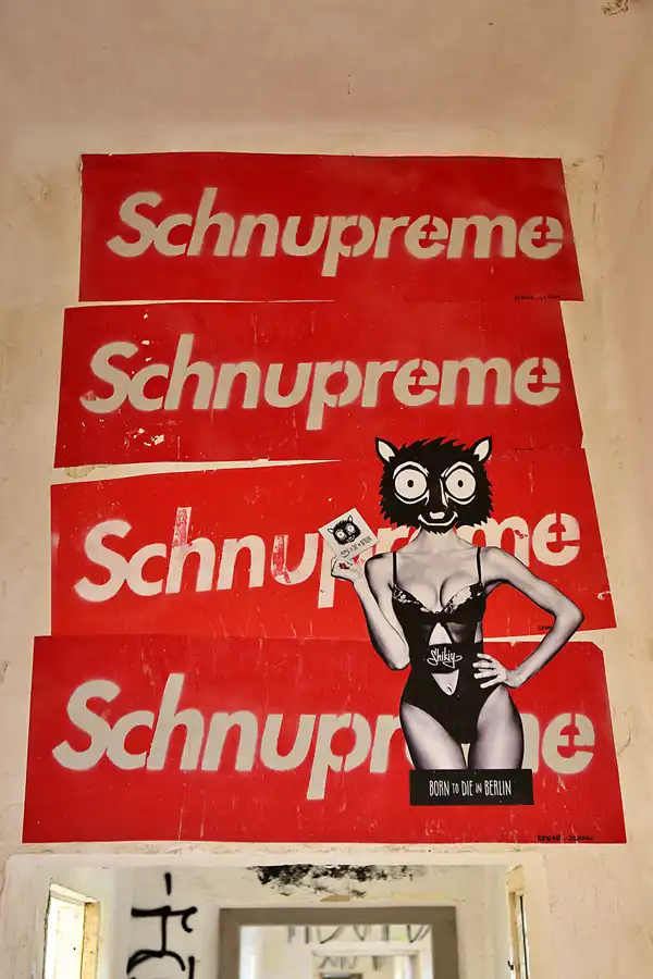 137 | 2019 | Strelitz-Alt | Mecklenburg-Strelitzsche Landesirrenanstalt Domjüch – artbase 2019 | © carsten riede fotografie