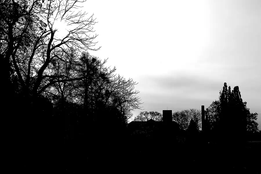 139 | 2019 | Strelitz-Alt | Mecklenburg-Strelitzsche Landesirrenanstalt Domjüch – artbase 2019 | © carsten riede fotografie