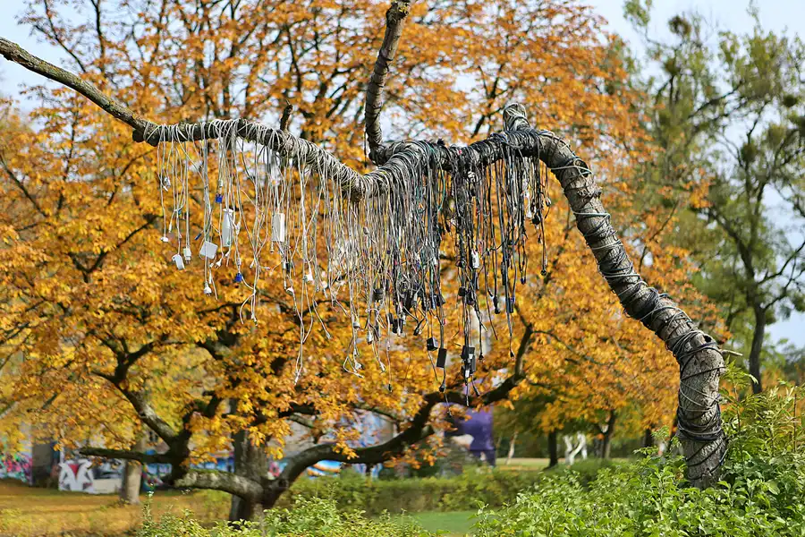 142 | 2019 | Strelitz-Alt | Mecklenburg-Strelitzsche Landesirrenanstalt Domjüch – artbase 2019 | © carsten riede fotografie