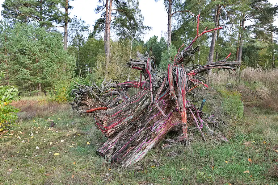 143 | 2019 | Strelitz-Alt | Mecklenburg-Strelitzsche Landesirrenanstalt Domjüch – artbase 2019 | © carsten riede fotografie