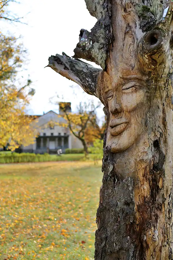 144 | 2019 | Strelitz-Alt | Mecklenburg-Strelitzsche Landesirrenanstalt Domjüch – artbase 2019 | © carsten riede fotografie