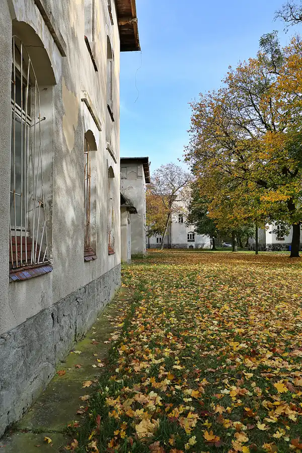 146 | 2019 | Strelitz-Alt | Mecklenburg-Strelitzsche Landesirrenanstalt Domjüch – artbase 2019 | © carsten riede fotografie