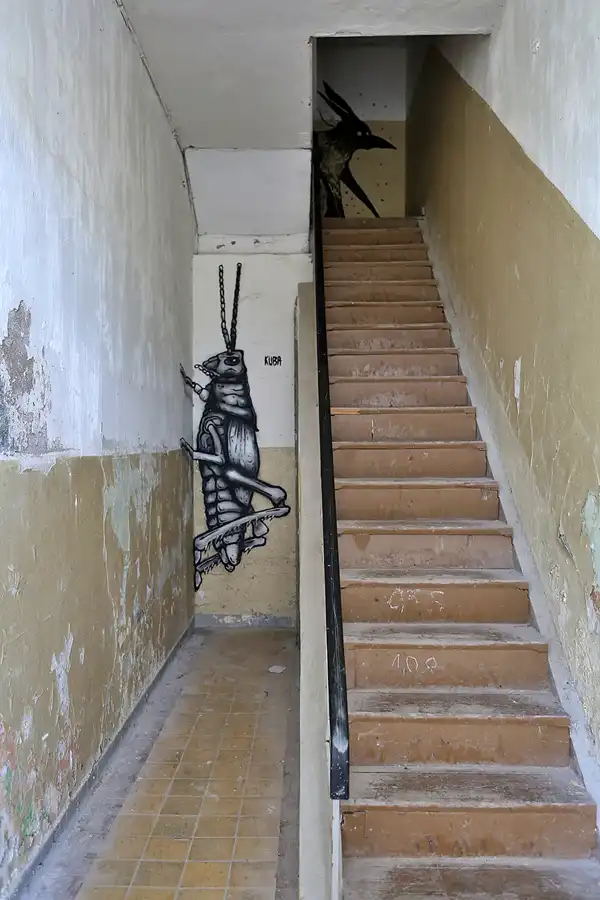 155 | 2019 | Strelitz-Alt | Mecklenburg-Strelitzsche Landesirrenanstalt Domjüch – artbase 2019 | © carsten riede fotografie