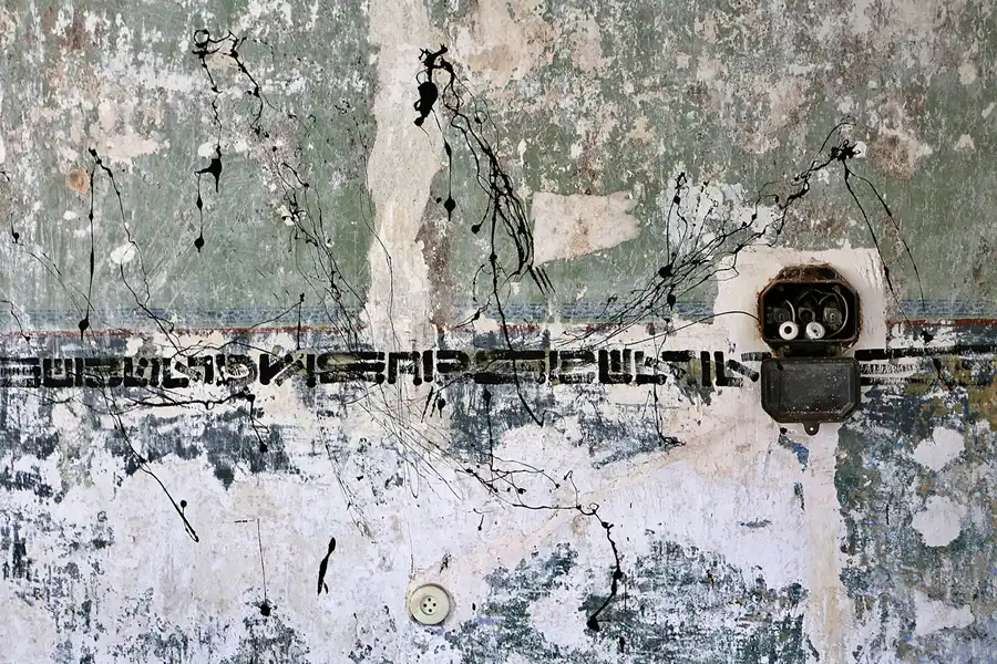 166 | 2019 | Strelitz-Alt | Mecklenburg-Strelitzsche Landesirrenanstalt Domjüch – artbase 2019 | © carsten riede fotografie