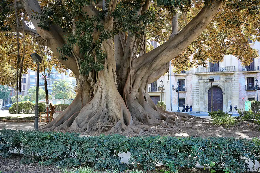 082 | 2020 | Valencia | © carsten riede fotografie