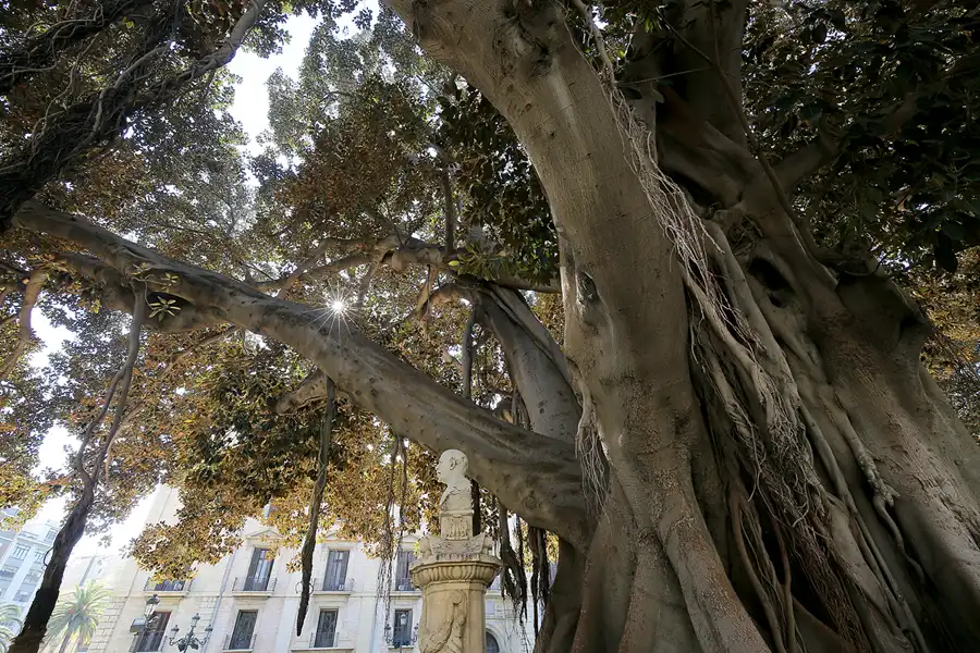 083 | 2020 | Valencia | © carsten riede fotografie