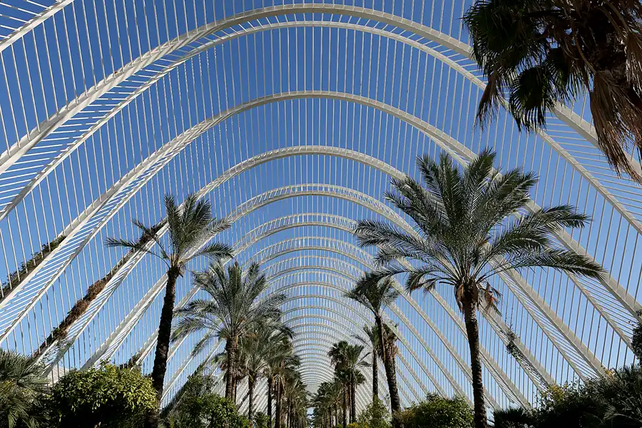 064 | 2020 | Valencia | Ciutat de les Arts i les Ciències | © carsten riede fotografie