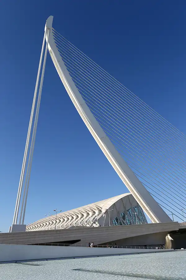 102 | 2020 | Valencia | Ciutat de les Arts i les Ciències | © carsten riede fotografie