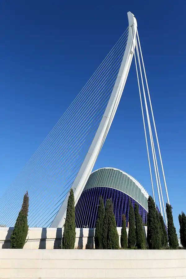 103 | 2020 | Valencia | Ciutat de les Arts i les Ciències | © carsten riede fotografie