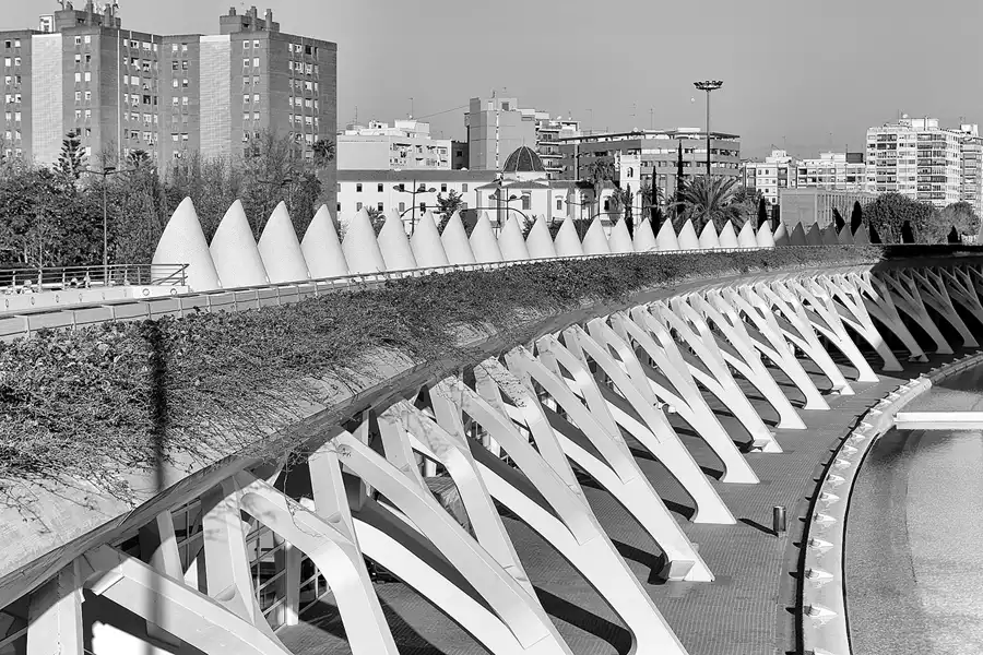 016 | 2020 | Valencia | Ciutat de les Arts i les Ciències | © carsten riede fotografie