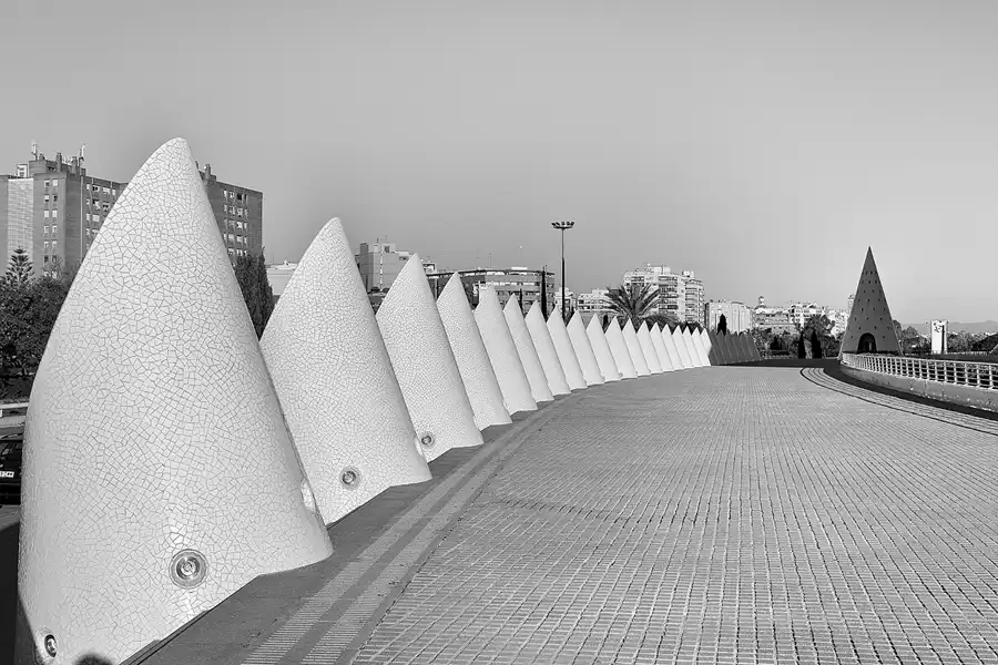 029 | 2020 | Valencia | Ciutat de les Arts i les Ciències | © carsten riede fotografie