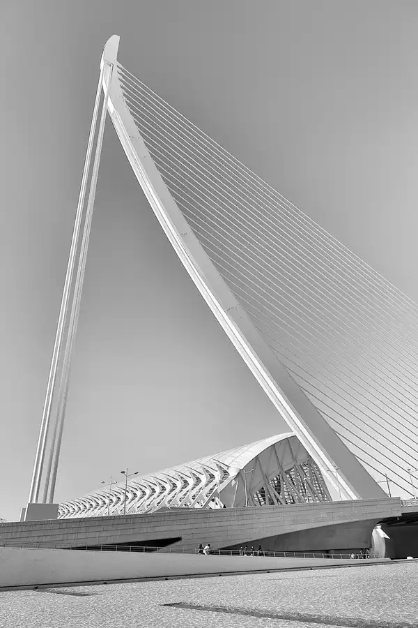 102 | 2020 | Valencia | Ciutat de les Arts i les Ciències | © carsten riede fotografie