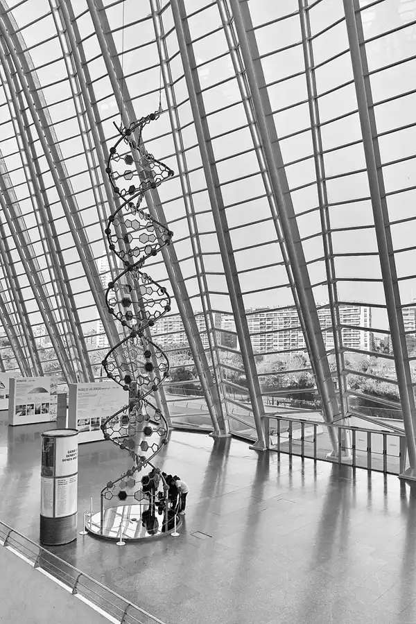 109 | 2020 | Valencia | Ciutat de les Arts i les Ciències – Museu de les Ciències Príncep Felip | © carsten riede fotografie