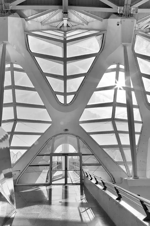 131 | 2020 | Valencia | Ciutat de les Arts i les Ciències – Museu de les Ciències Príncep Felip | © carsten riede fotografie